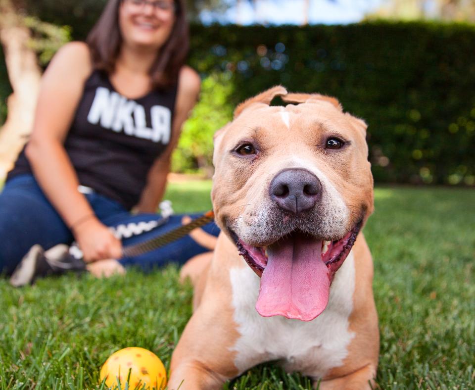 Person sitting with a happy dog in a grassy area playing with a ball